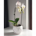 Keramični lonec Glamour 02.694.16